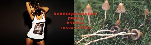 герыч Магадан