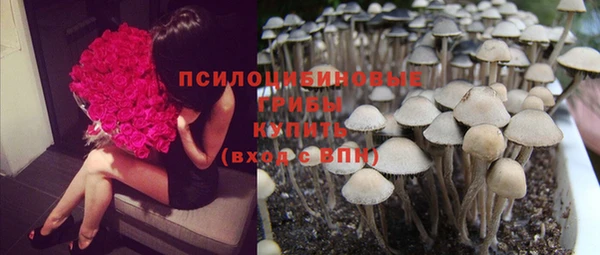 герыч Медвежьегорск